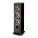 Напольная акустика Focal Aria Evo X N4 Black High Gloss - рис.1