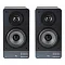 Radiotehnika S-20N Black Ash