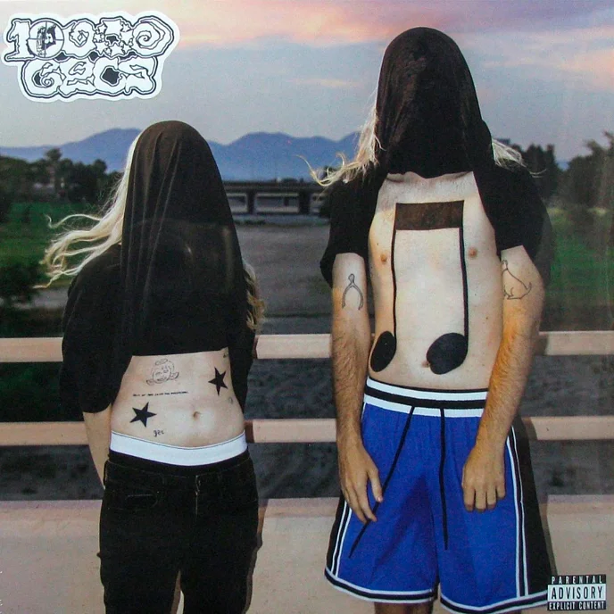 Пластинка 100 gecs - 10000 gecs LP - рис.0