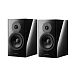 Акустическая система Dynaudio Evoke 20 Black High Gloss - рис.0