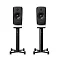 Dynaudio Confidence 20A Snow High Gloss