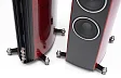 - рис.7 Напольная акустика Sonus Faber Serafino Tradition Red - рис.7