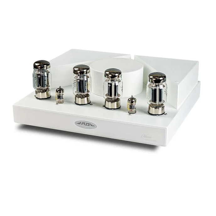 Усилитель Fezz Audio Titania Power Amplifier Bleach - рис.0