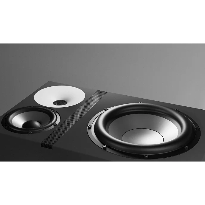 Студийный монитор Amphion One25A pair черный - рис.6