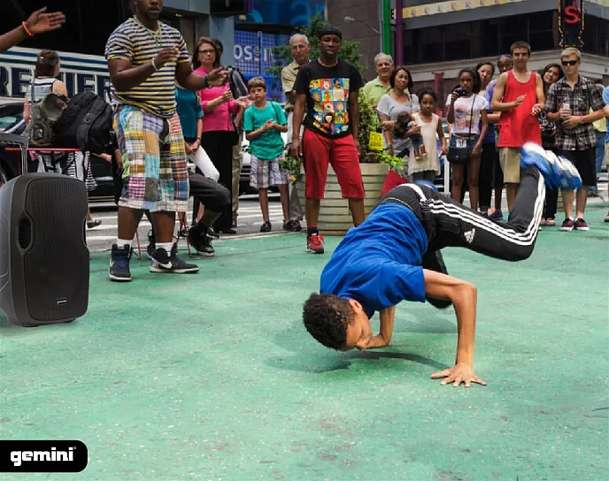 Акустическая система Gemini AS-10TOGO Black - рис.10