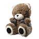 Портативная колонка Ritmix ST-250 Bear BT Brown - рис.0