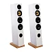 Напольная акустика Davis Acoustics Courbet N 5 White Gloss - рис.0