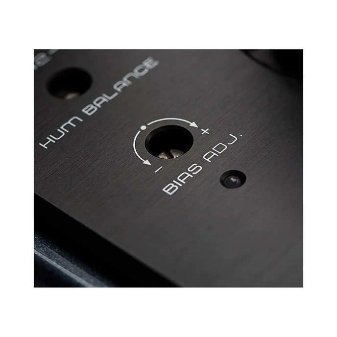 Интегральный усилитель Cayin M-845I - рис.4