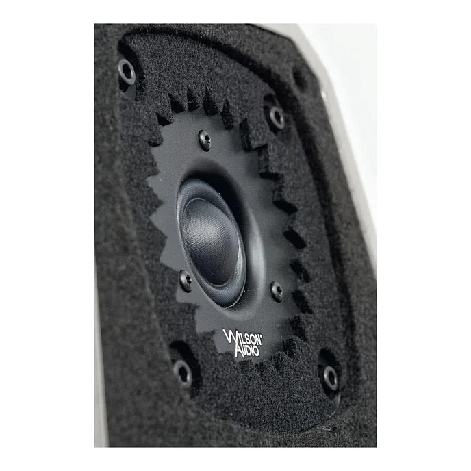Напольная акустика Wilson Audio Sabrina X Galaxy Gray - рис.4