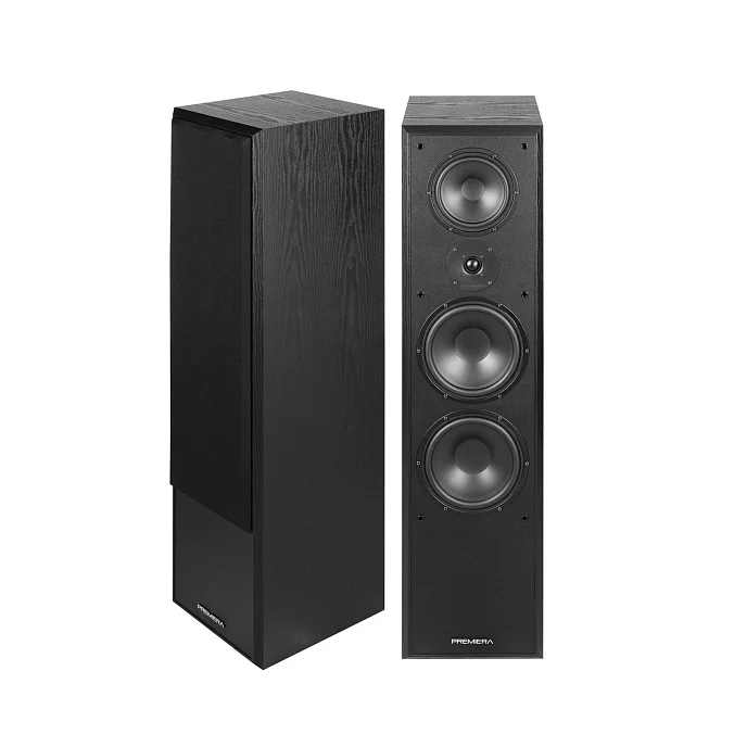 Напольная акустика Premiera ES-831 Black - рис.1