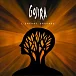 Виниловая пластинка Gojira – L'Enfant Sauvage (coloured) - 2LP - рис.0