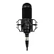 - рис.2 Микрофон студийный Radiotehnika MCD-01 Black - рис.2