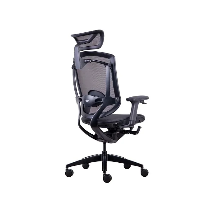 Компьютерное кресло GTChair Marrit X Black - рис.4