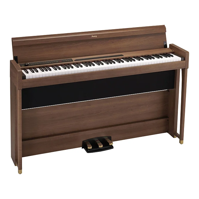 Синтезатор Korg POETRY Brown - рис.1
