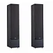 Напольная акустика Davis Acoustics Ariane 5 Black - рис.1