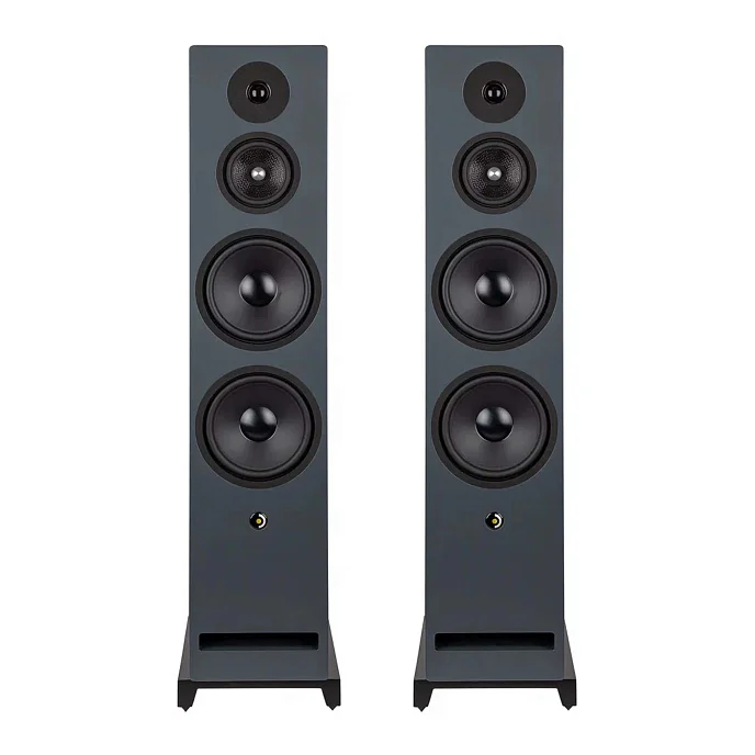 Напольная акустика Davis Acoustics Krypton N 10 Classic Walnut - рис.0