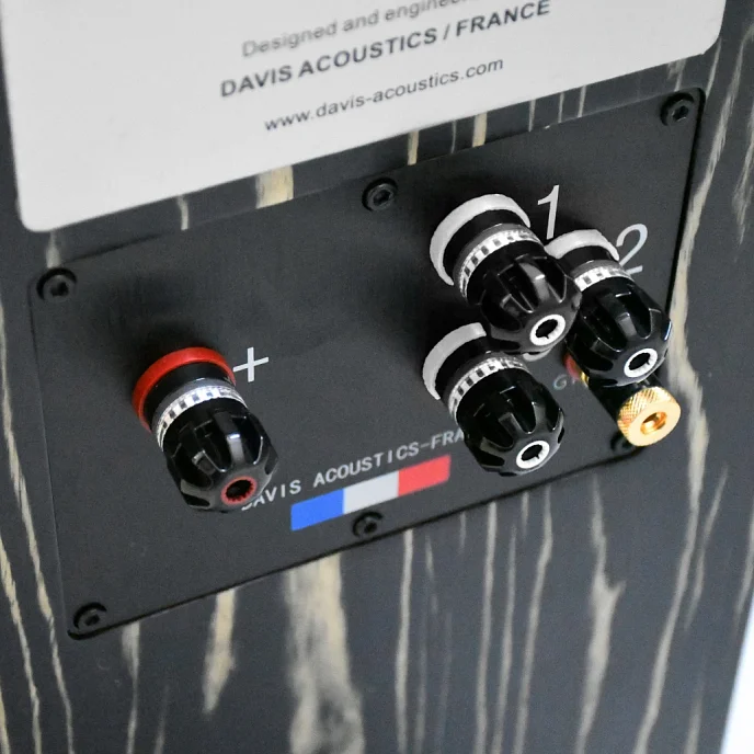 Полочная акустика Davis Acoustics MV One Master Black Piano - рис.2