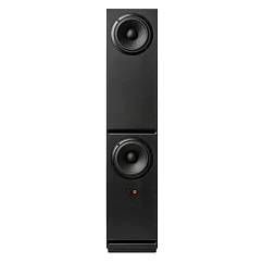 Напольная акустика Guru 28 Satin Black