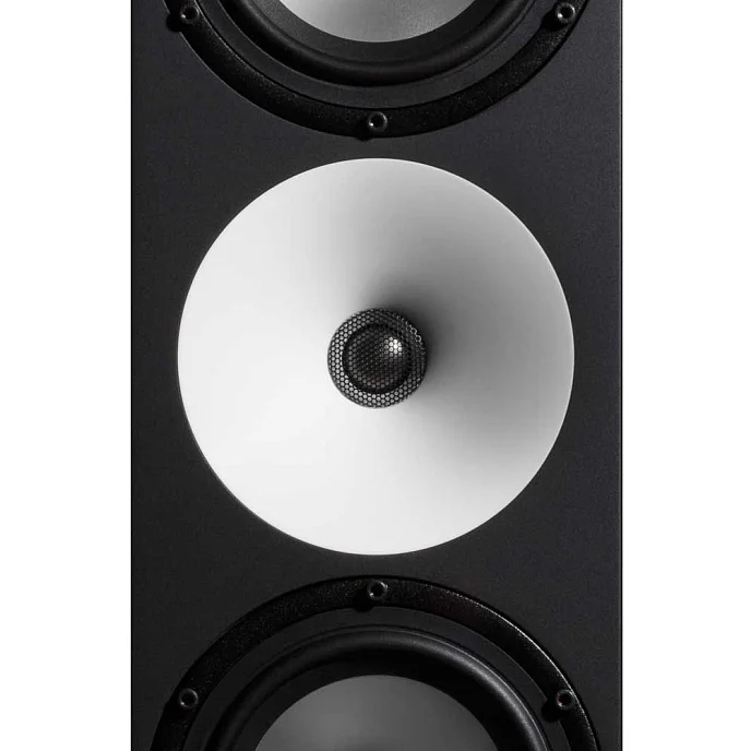 Студийный монитор Amphion Two15 Black - рис.4