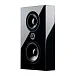 Настенная акустика Lyngdorf FR-1 Matte Black - рис.1