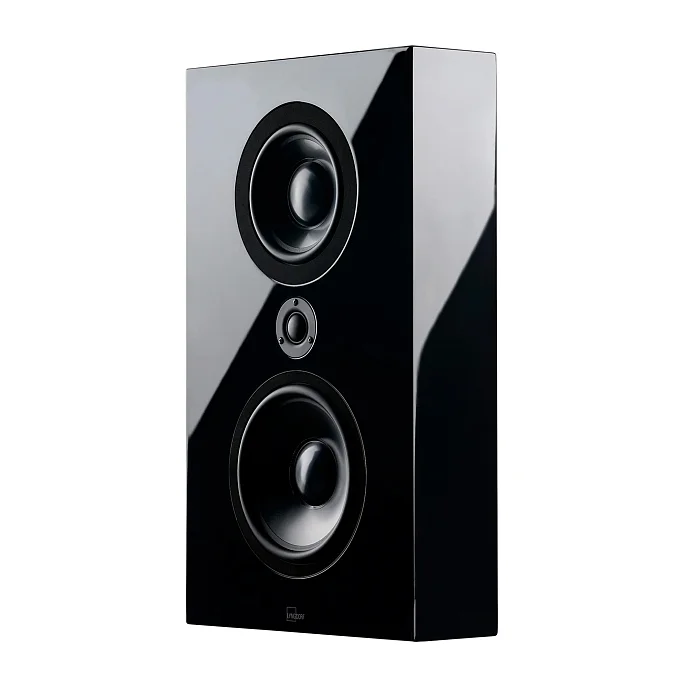 Настенная акустика Lyngdorf FR-1 Matte Black - рис.1