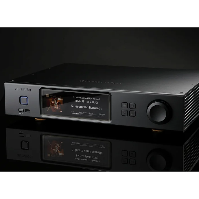 Сетевой аудиоплеер Aurender A15 4TB SSD Black - рис.4
