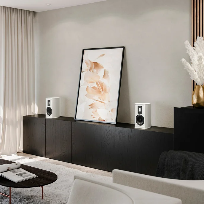 Полочная акустика Piega Premium 301 Wireless Gen 2 Black - рис.4