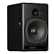 Студийный монитор PSI Audio A21-Ms Black - рис.0