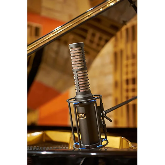 Микрофон студийный HUM Audio Devices RS2 - рис.22