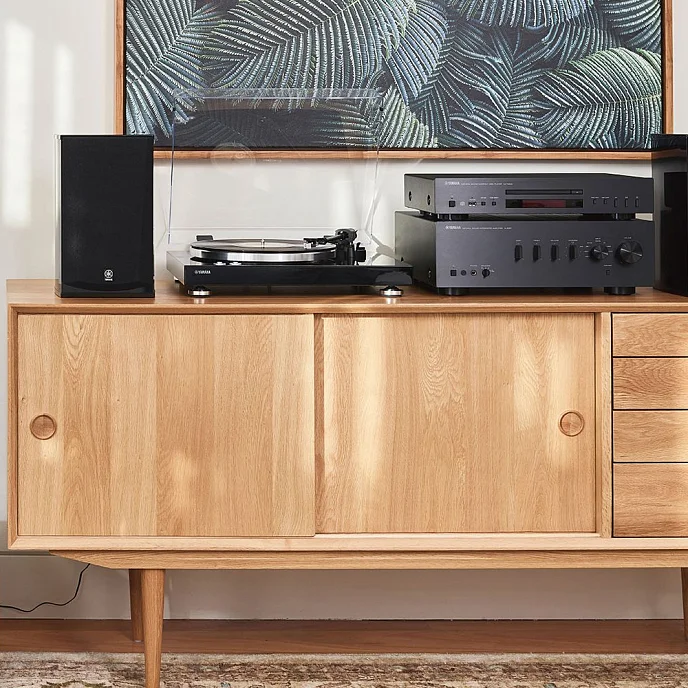 Проигрыватель винила Yamaha TT-S303 Black - рис.5