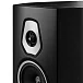 Напольная акустика Sonus Faber Sonetto VIII Black - рис.3