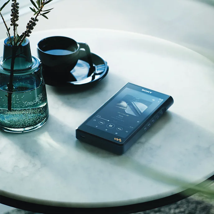 Плеер Sony NW-WM1AM2 Black - рис.6