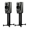 Dynaudio Confidence 20 smoke high gloss