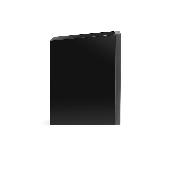 Полочная акустика Martin Logan Motion B10 Gloss Black - рис.5