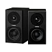 Студийный монитор Fostex PM0.3dH Black - рис.0 Студийный монитор Fostex PM0.3dH Black - рис.0