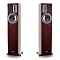 Apertura Edena Evolution Rosewood High Glossy