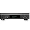 Denon DNP-2000NE Silver Graphite