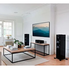 Центральный канал Monitor Audio Gold C250 (6G) Gloss Black