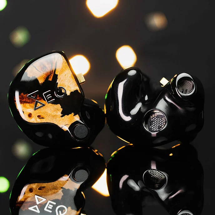 Кастомные наушники FiR Audio Xenon 6 Custom - рис.4