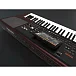 Синтезатор Korg PA1000 Red - рис.3