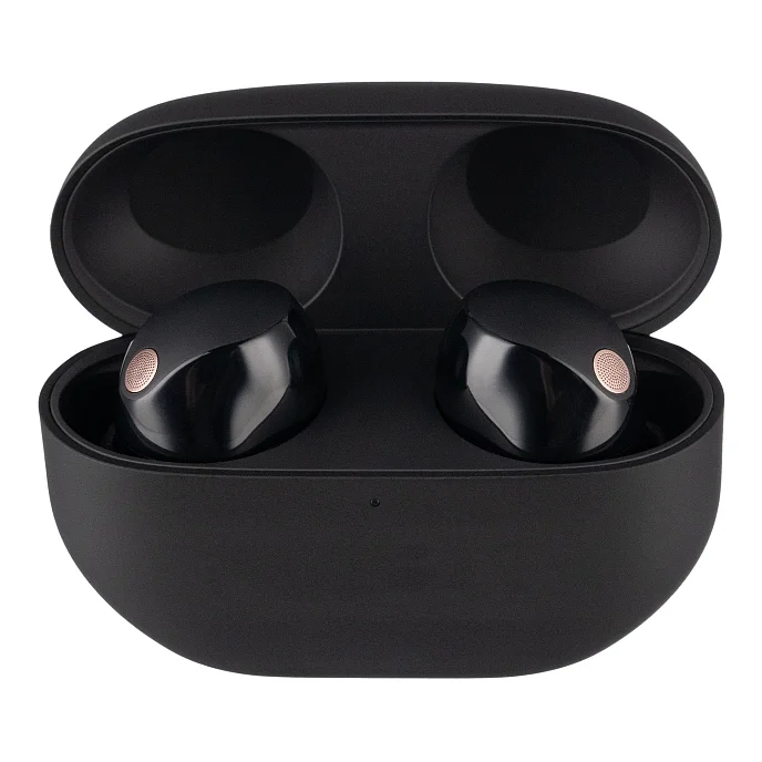 Беспроводные наушники Sony WF-1000XM5 Black - рис.3