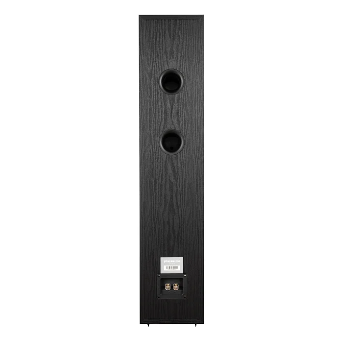 Напольная акустика Phaze Audio Tilia 1 Black - рис.1