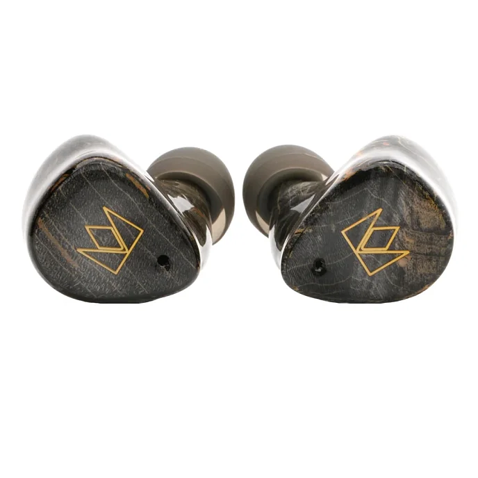 Беспроводные наушники Noble Audio FoKus Prestige Black - рис.1