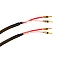Tchernov Cable Reference DSC SC Bn/Bn 1.65m