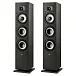 Напольная акустика Polk Audio Monitor XT60 Black - рис.0