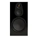 Полочная акустика Monitor Audio Silver 100 (8G) Black Gloss - рис.1