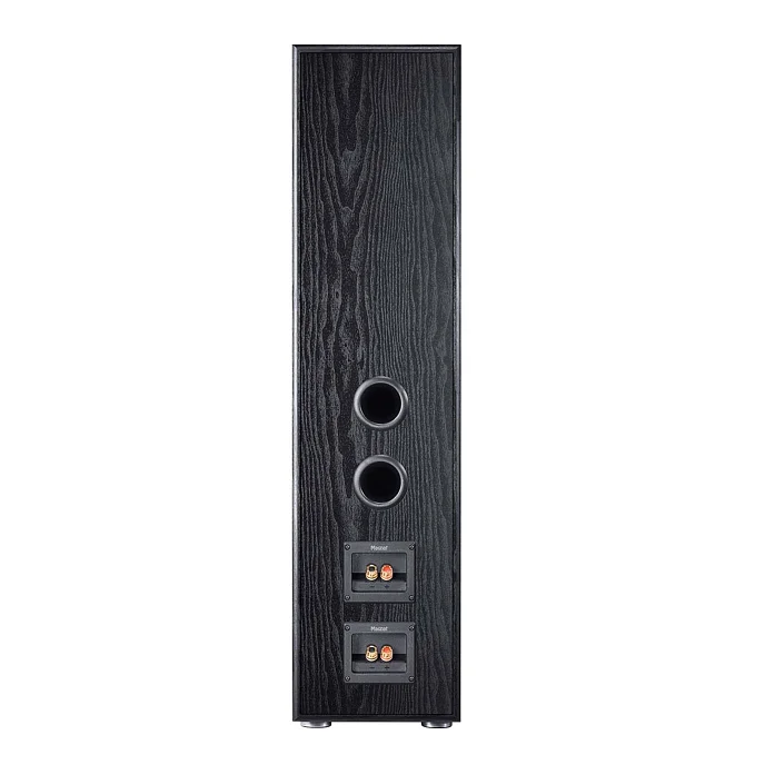Напольная акустика Magnat Monitor S80 ATM Black - рис.5