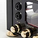 Усилитель для наушников AudioValve RKV Mark III Black / Gold - рис.14