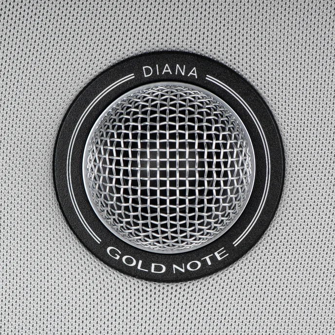 Центральный канал Gold Note Diana Center Silver Silver - рис.2
