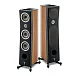 Напольная акустика Focal Kanta N2 Walnut High Gloss Black Mat - рис.2